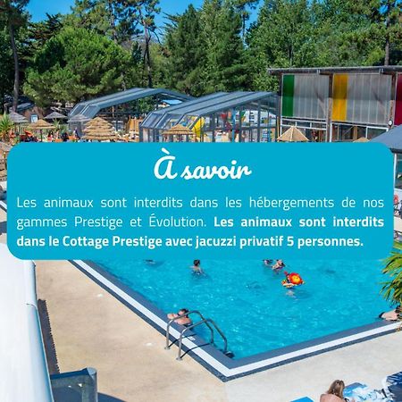 Camping Signol Boyardville Bagian luar foto
