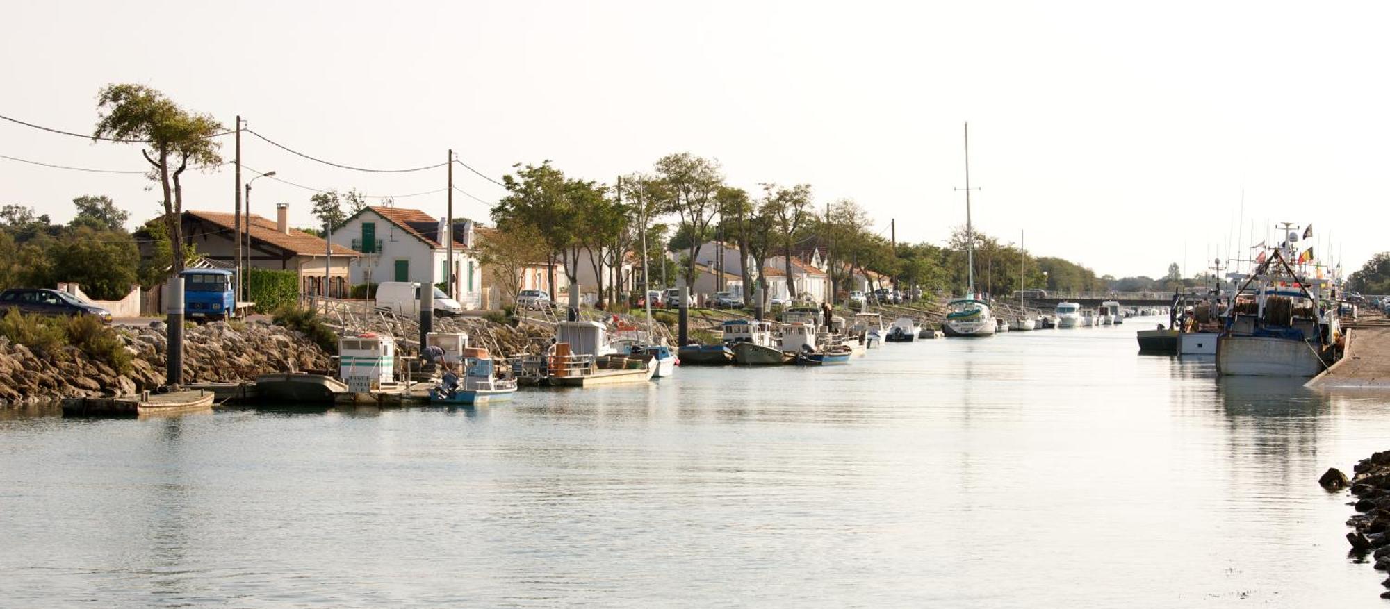 Camping Signol Boyardville Bagian luar foto