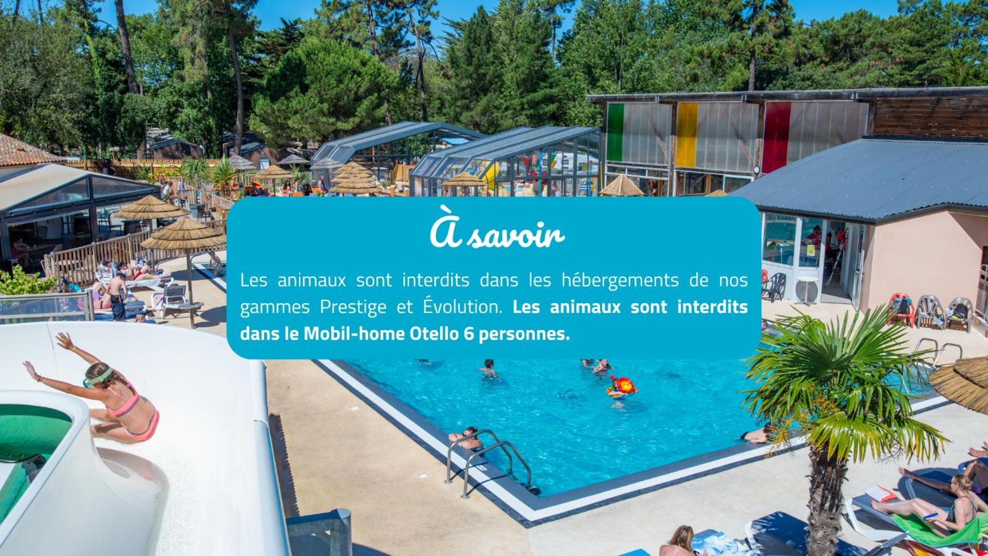 Camping Signol Boyardville Bagian luar foto
