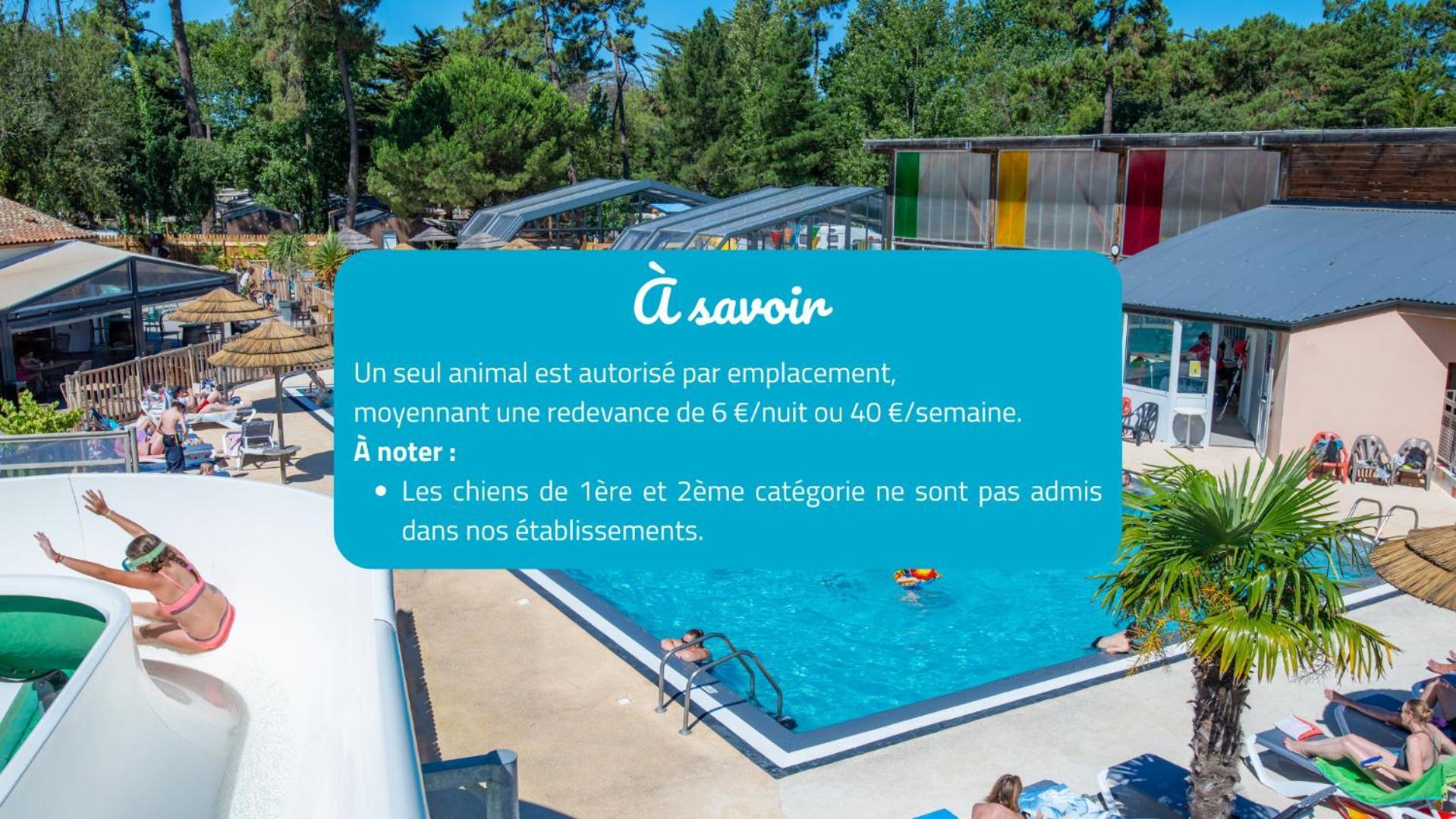 Camping Signol Boyardville Bagian luar foto