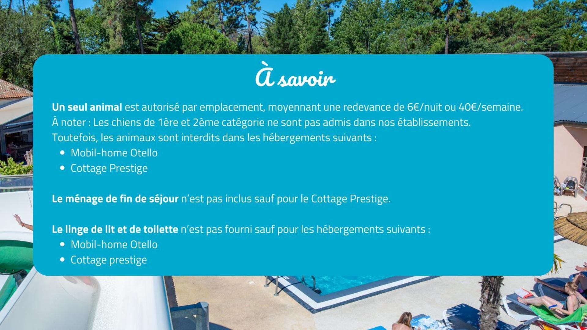 Camping Signol Boyardville Bagian luar foto